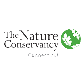 the_nature-convernansy